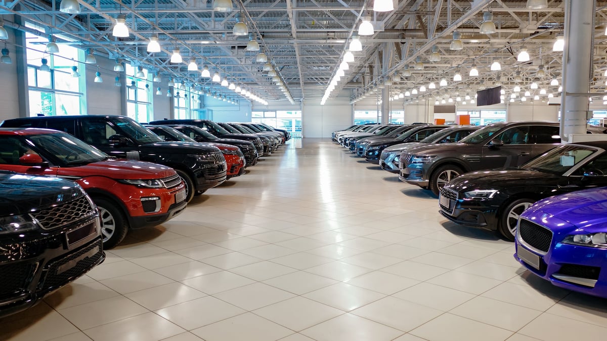 A bright detailing bay full of clean, shiny cars parked in rows